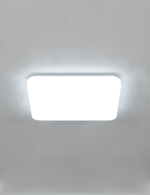 파이브 LED 방등 50W 